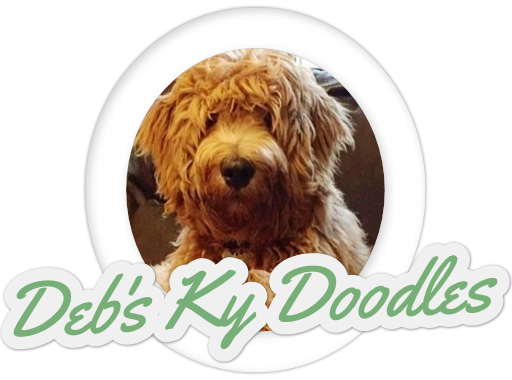 Deb's KY Doodles